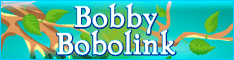 http://www.bobbybobolink.com