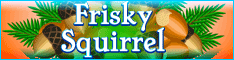 http://www.friskysquirrel.com