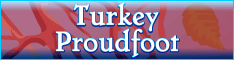 http://www.turkeyproudfoot.com