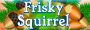 Frisky Squirrel